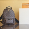 황벽 루이비통 팜 스프링스 백팩 PM 모노그램 M44871
